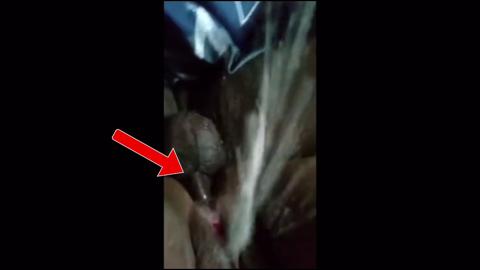 NOAH'S ARK GETS LITERALLY RUINED BY FLOOD-TIDE-SIZED TITS AND A SIDE OF SEDUCTIVE WET NAILS