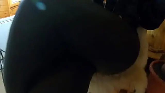 Loads of cum on my black jacket and leather pants 216