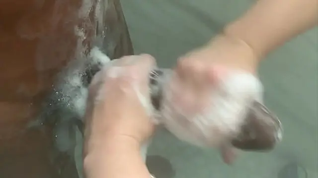 girlfriend Teases boyfriend With BBC While  Are Away