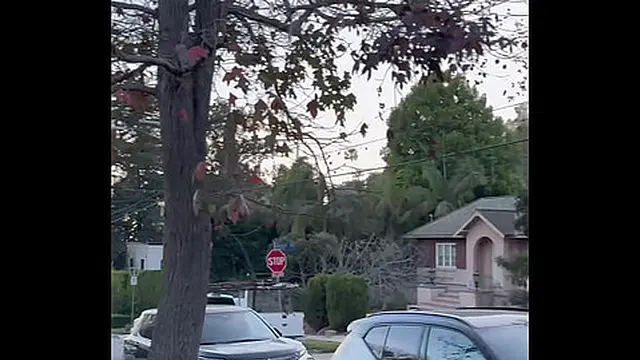 First Ever Pornlog – Free SFW Version