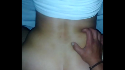 Rich culiadota